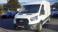 Ford Transit Kasten 2,0 EcoBlue L2H2 350 Trend Weiß - thumbnail 35