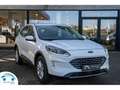 Ford Kuga 2.5 TITANIUM HYBRIDE 190 PK CARPLAY/CAMERA/BLUETO Wit - thumbnail 1