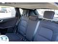 Ford Kuga 2.5 TITANIUM HYBRIDE 190 PK CARPLAY/CAMERA/BLUETO Wit - thumbnail 24
