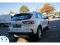 Ford Kuga 2.5 TITANIUM HYBRIDE 190 PK CARPLAY/CAMERA/BLUETO Wit - thumbnail 7