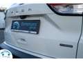 Ford Kuga 2.5 TITANIUM HYBRIDE 190 PK CARPLAY/CAMERA/BLUETO Wit - thumbnail 6