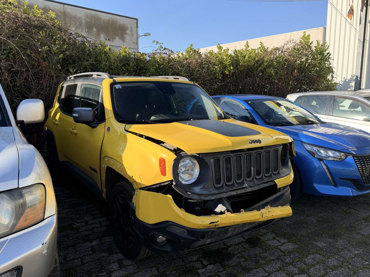 Jeep Renegade 2.0 mjt Trailhawk 4wd 170cv auto