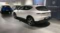 Alfa Romeo Tonale Tonale 1.5 160 CV MHEV TCT7 Veloce Bianco - thumbnail 2