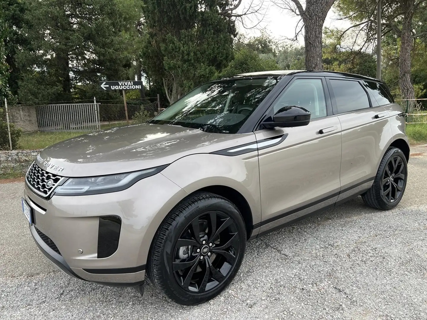 Land Rover Range Rover Evoque Range Rover Evoque 1.5 I3 160 CV Auto SE Bronze - 1