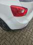 SEAT Ibiza 1.2 TDI Klima,TÜV 6-2027,Zahnrieme:174000 neu Blanc - thumbnail 15