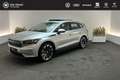Skoda Enyaq 80 204pk | Panoramadak, Achteruitrijcamera, AppleC Grau - thumbnail 1