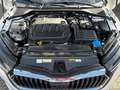 Skoda Octavia Combi Style Klima Navi Einparkhilfe Kurvenlicht Weiß - thumbnail 11