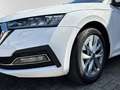 Skoda Octavia Combi Style Klima Navi Einparkhilfe Kurvenlicht Weiß - thumbnail 6