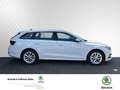 Skoda Octavia Combi Style Klima Navi Einparkhilfe Kurvenlicht Weiß - thumbnail 3