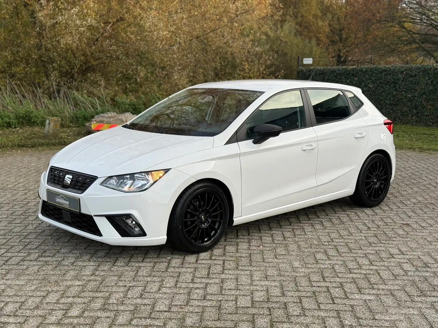 SEAT Ibiza 1.0 TSI Excellence PDC I CRUISE I BLUETOOTH I 2 JA Wit - 1