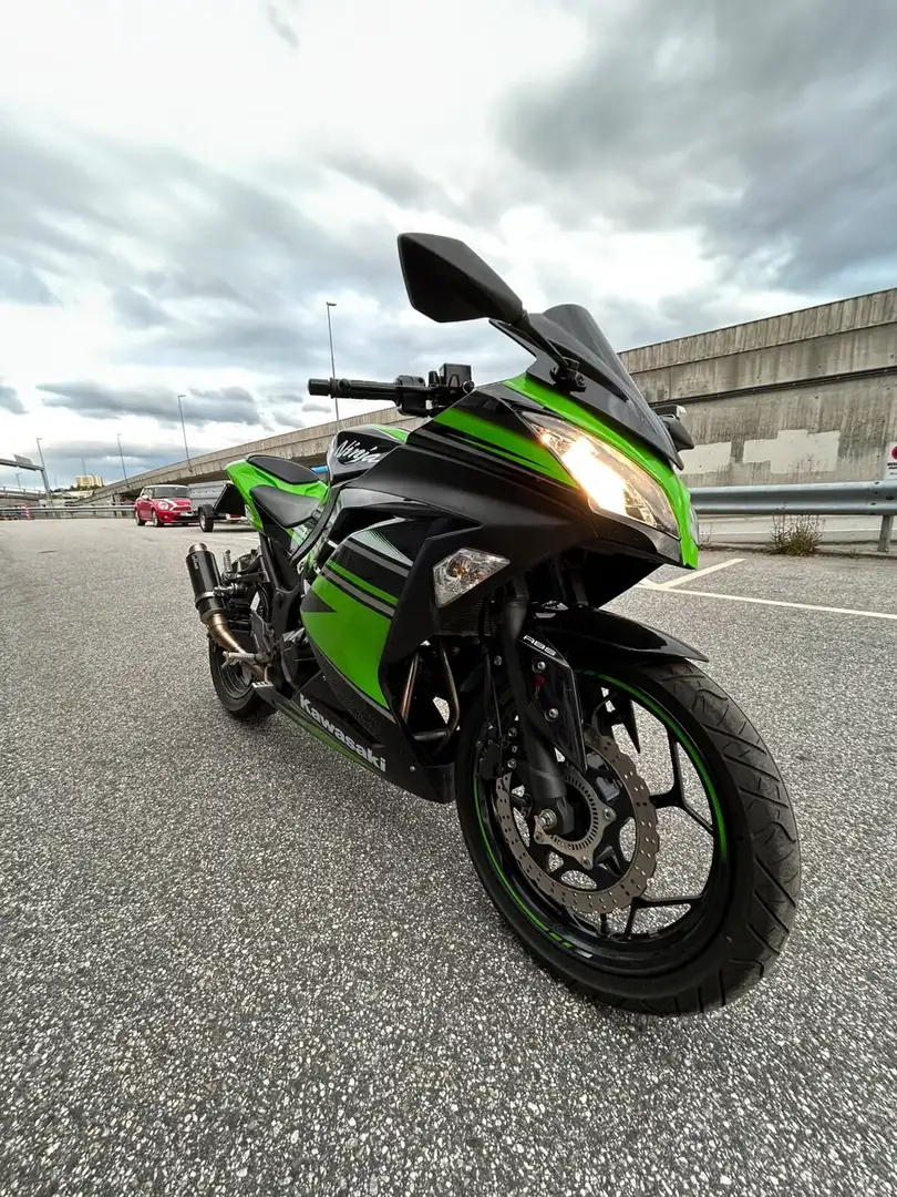 Kawasaki Ninja 300 Vert - 1