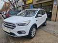 Ford Kuga 1.5 EcoB. Auto S&S Trend+ 4x2 120 Blanc - thumbnail 3