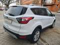 Ford Kuga 1.5 EcoB. Auto S&S Trend+ 4x2 120 Blanc - thumbnail 5