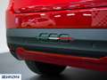 Fiat 600 Red - Pronta Consegna! Rood - thumbnail 17