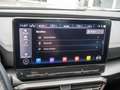 CUPRA Formentor VZ 2.0 TSI 4Drive SHZ NAVI ACC LED Grau - thumbnail 10