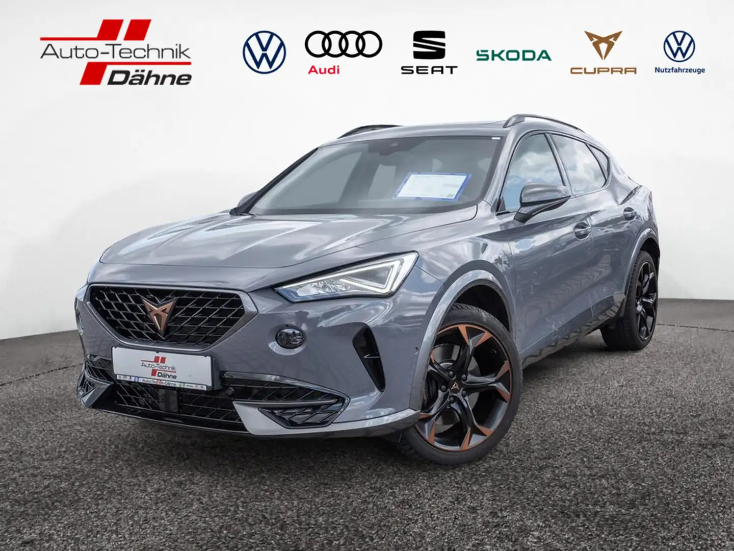 CUPRA Formentor VZ 2.0 TSI 4Drive SHZ NAVI ACC LED Grau - 1