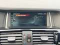 BMW X4 d xDrive M Sport ACC Lane Stand-Hz. 4xSHZ Negro - thumbnail 36