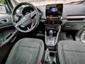 Ford EcoSport EcoSport 2018 1.0 ecoboost Business s Argento - thumbnail 8