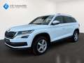 Skoda Kodiaq 2.0 TDI Style Erstb. AHK Weiß - thumbnail 1