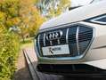 Audi e-tron e-tron 55 quattro advanced Pro Line Plus 95 kWh | Beige - thumbnail 49