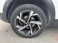 Citroen C5 Aircross C5 Aircross 1.5 HDi - 130ch - BV EAT8  Feel Blanc - thumbnail 18