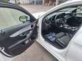 Mercedes-Benz C 180 C 180 d T AMG Line Aut. AMG Line Weiß - thumbnail 10