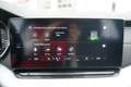Skoda Octavia Combi First Edition iV DSG LED Navi ACC Wit - thumbnail 23