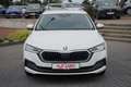 Skoda Octavia Combi First Edition iV DSG LED Navi ACC Wit - thumbnail 2