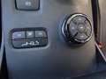 Ford Ranger 3.0 Ecoblue 4WD DK Wildtrak Hardtop AHK Grigio - thumbnail 17