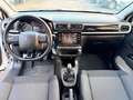 Citroen C3 C3 PureTech 83 S&S Shine Bianco - thumbnail 12