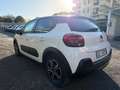 Citroen C3 C3 PureTech 83 S&S Shine Bianco - thumbnail 4