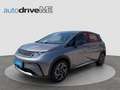 BYD Dolphin Comfort Grau - thumbnail 1