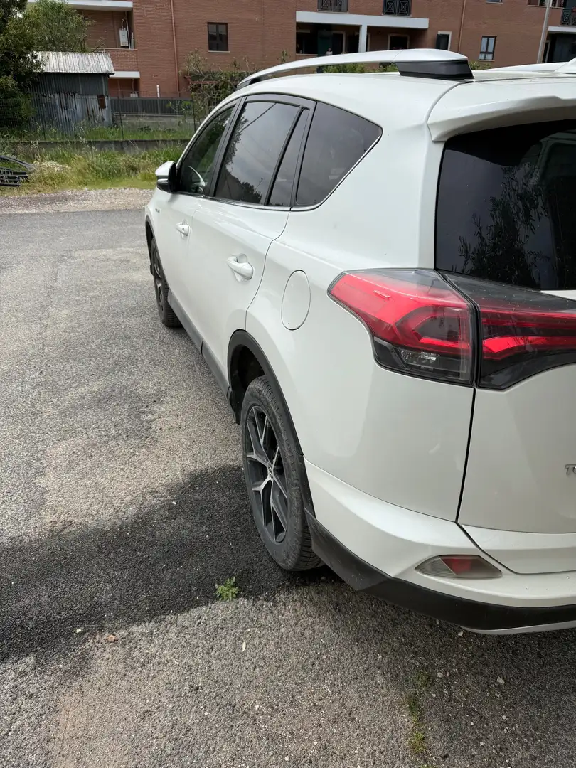 Toyota RAV 4 Rav4 2.5 ibrida Bianco - 2