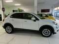Fiat 500X 500X 1.6 MultiJet 120 CV DCT Business Bianco - thumbnail 3