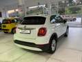 Fiat 500X 500X 1.6 MultiJet 120 CV DCT Business Bianco - thumbnail 4