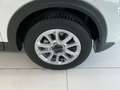 Fiat 500X 500X 1.6 MultiJet 120 CV DCT Business Bianco - thumbnail 2