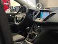 Ford Kuga 1.5 TDCI 120 CV S&S 2WD Plus Grau - thumbnail 12
