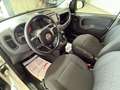 Fiat Panda 1.0 FireFly S&S Hybrid Bianco - thumbnail 12
