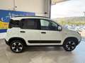 Fiat Panda 1.0 FireFly S&S Hybrid Bianco - thumbnail 4