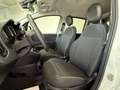 Fiat Panda 1.0 FireFly S&S Hybrid Bianco - thumbnail 11