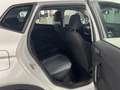SEAT Arona 1.0 TSI Style DSG Digital-Tacho Kamera LED Weiß - thumbnail 13
