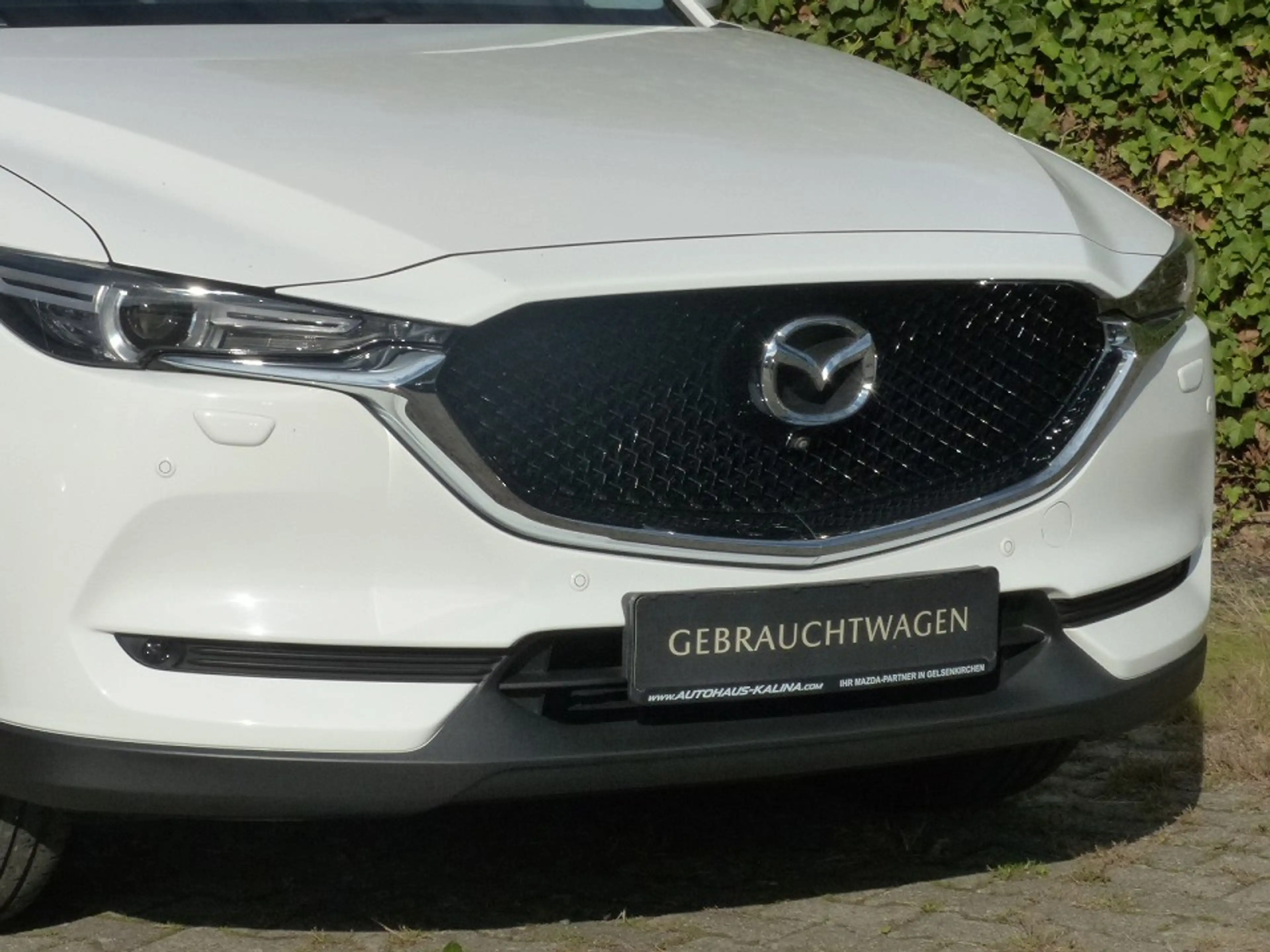 Mazda CX-5 SKYACTIV-G 165 FWD KANGEI + Anhängerkupplung — photo 3
