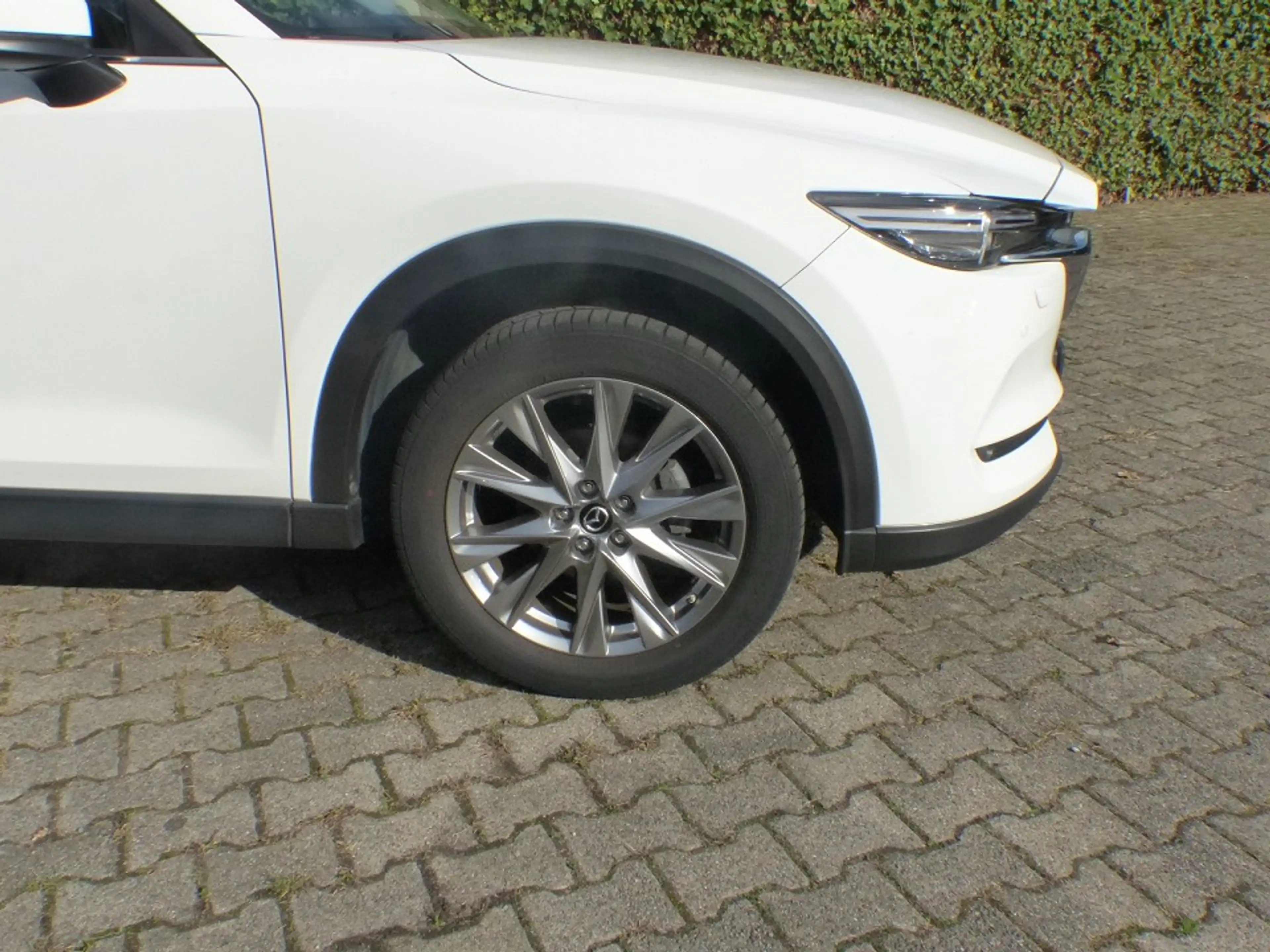 Mazda CX-5 SKYACTIV-G 165 FWD KANGEI + Anhängerkupplung — photo 4