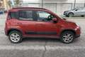 Fiat Panda Trekking 1.3MTJ 95cv Rosso - thumbnail 4