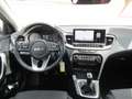 Kia XCeed 1,5 TGDI GPF Silber Style Paket Rot - thumbnail 7