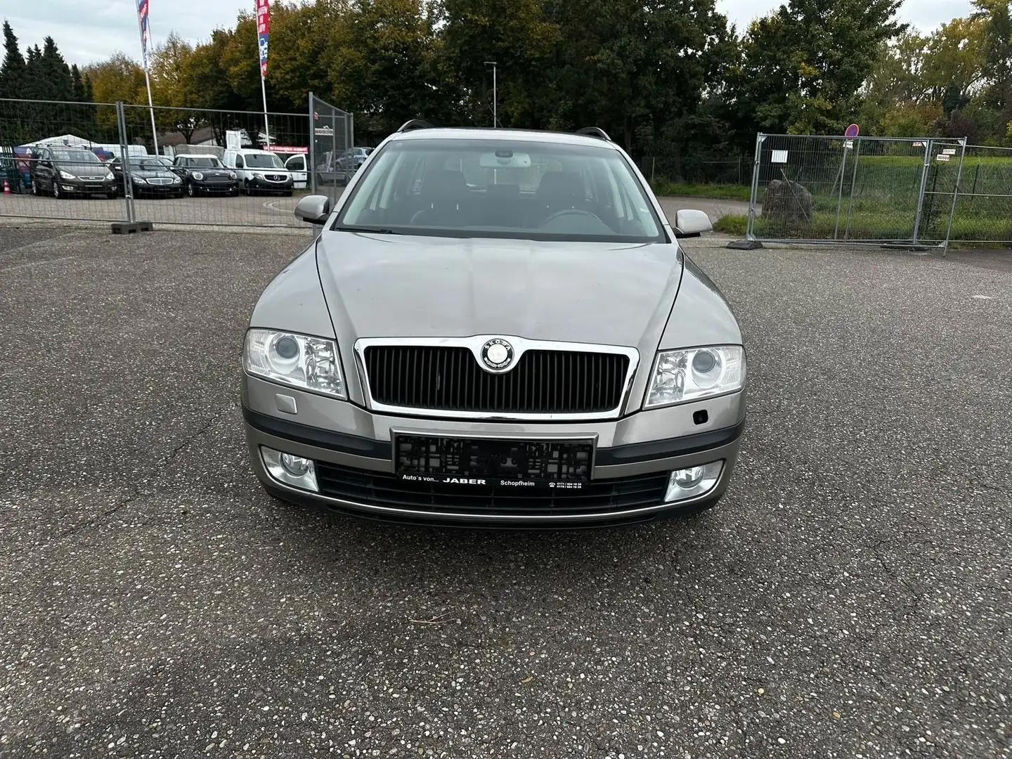Skoda Octavia Combi 4x4 Laurin & Klement Beige - 2