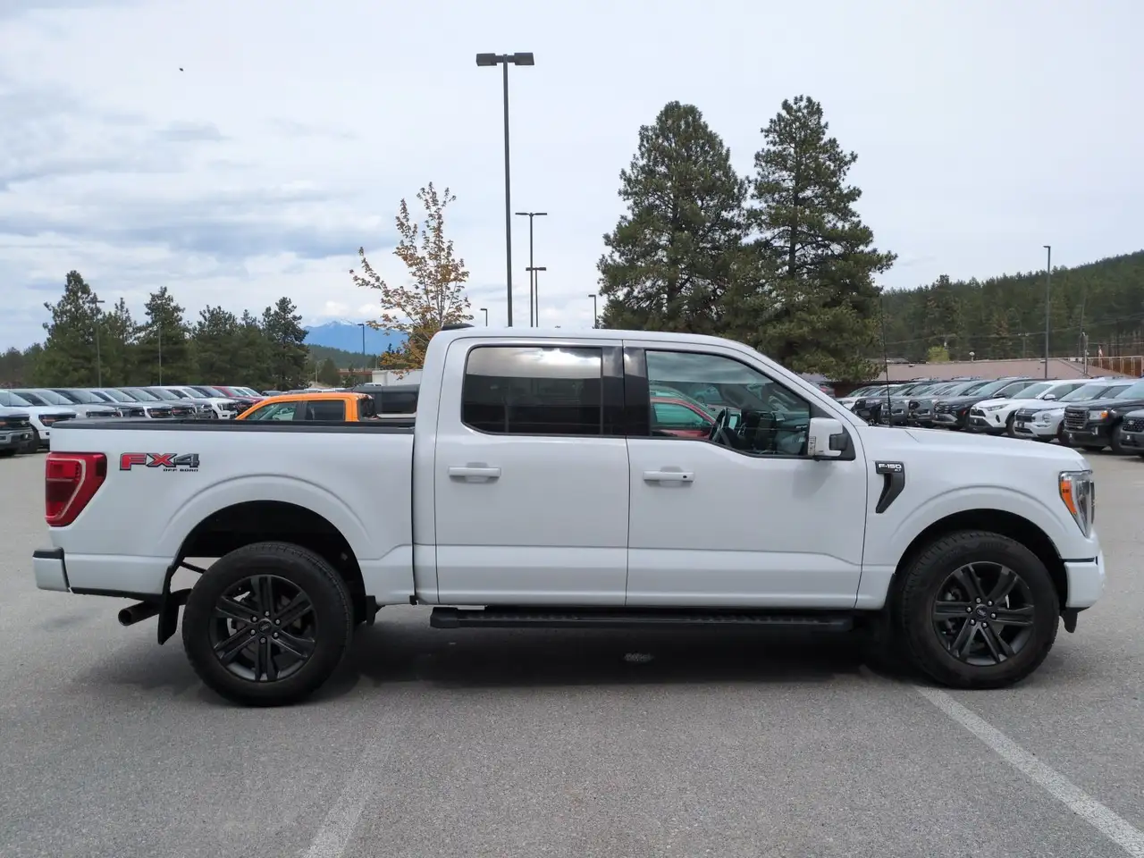 Ford F 150 снимка Ford F 150