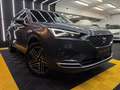 SEAT Tarraco Xcellence 4Drive *ERSTBESITZ*RÜCKFAHRKAMERA Grau - thumbnail 5