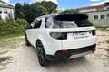 Land Rover Discovery Sport Discovery Sport 2.0D I4-L.Flw 150 CV AWD Auto HSE Blanc - thumbnail 7