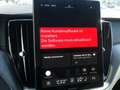 Volvo XC60 T8 Black Edition Ultra VOLL Leasing ab €559 Gris - thumbnail 20